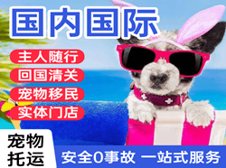 长白山航空运输国际宠物托运 【国